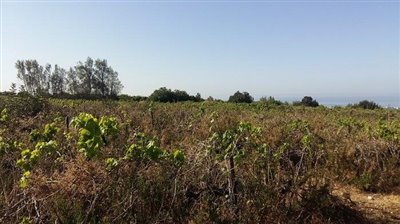 Terre à vendre à Coral Bay