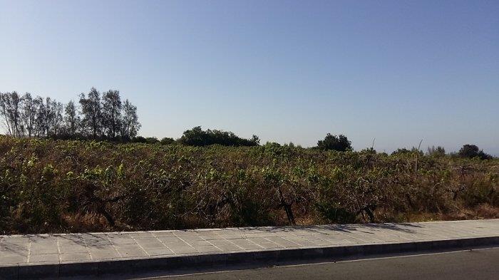 Image No.5-Terre à vendre à Coral Bay