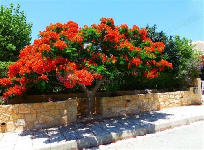 Image No.3-Villa de 2 chambres à vendre à Peyia