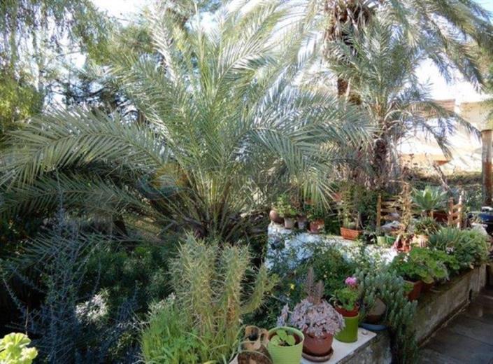 Image No.18-3 Bed Villa for sale