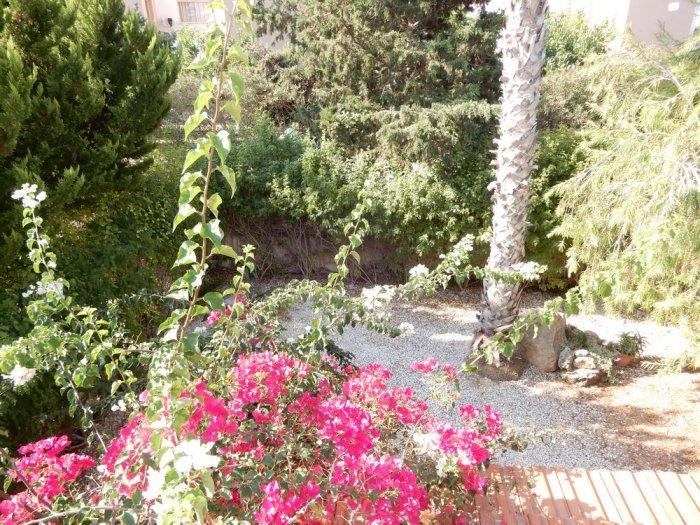 Image No.12-Villa de 3 chambres à vendre à Chlorakas