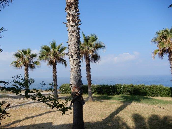 Image No.16-Villa de 3 chambres à vendre à Chlorakas