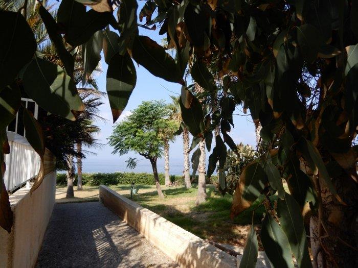 Image No.18-Villa de 3 chambres à vendre à Chlorakas