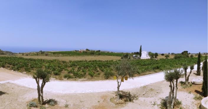 Image No.6-Bungalow de 3 chambres à vendre à Kathikas