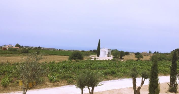 Image No.20-Bungalow de 3 chambres à vendre à Kathikas