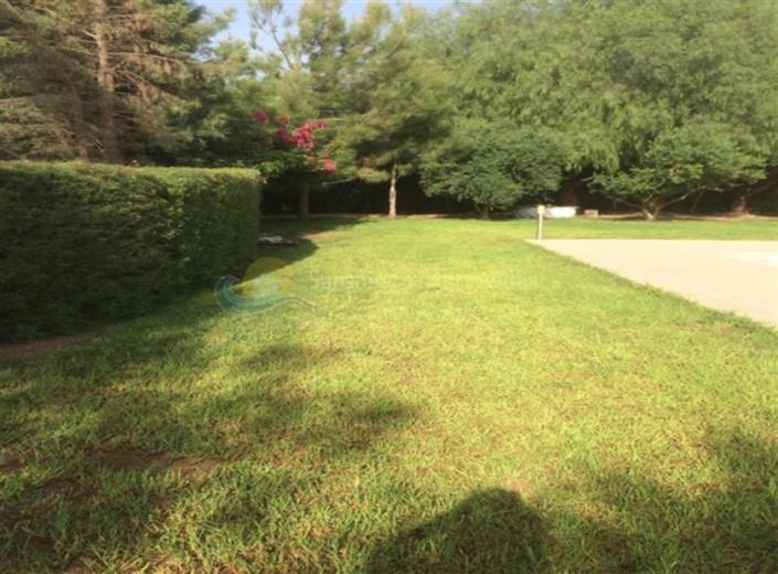 Image No.2-Bungalow de 4 chambres à vendre à Limassol