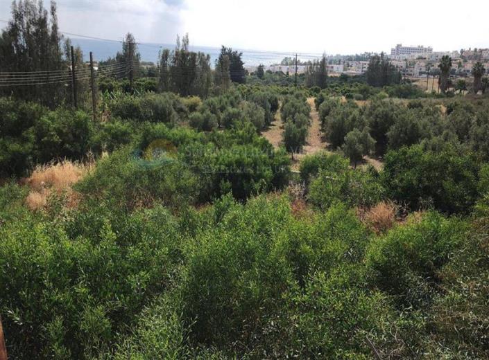 Image No.3-Land for sale