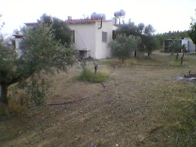 Image No.1-3 Bed Country House for sale