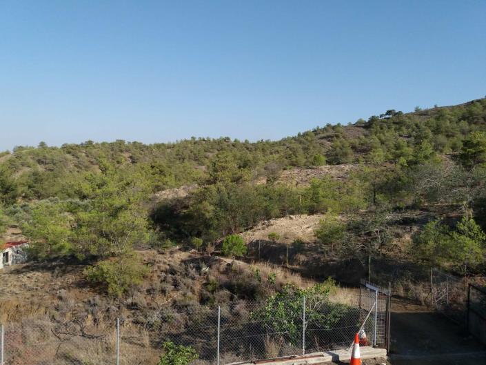 Image No.5-3 Bed Country House for sale