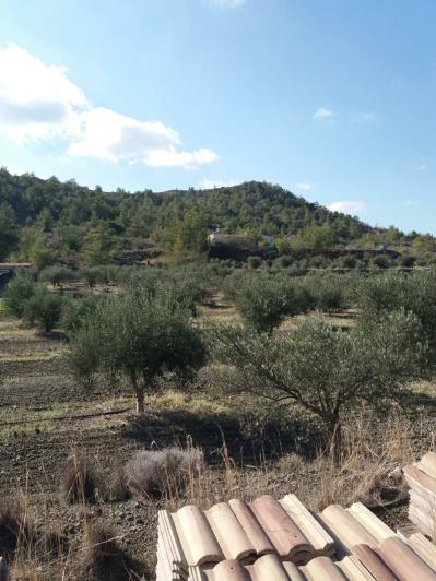 Image No.4-3 Bed Country House for sale