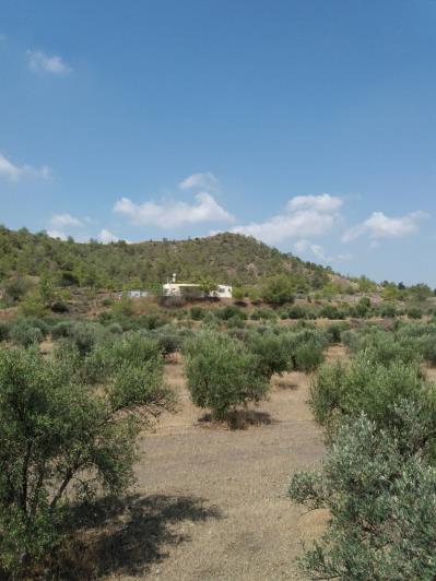 Image No.3-3 Bed Country House for sale