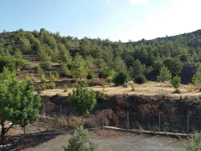 Image No.28-3 Bed Country House for sale