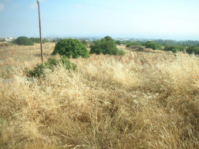 Image No.2-Terre à vendre à Tala