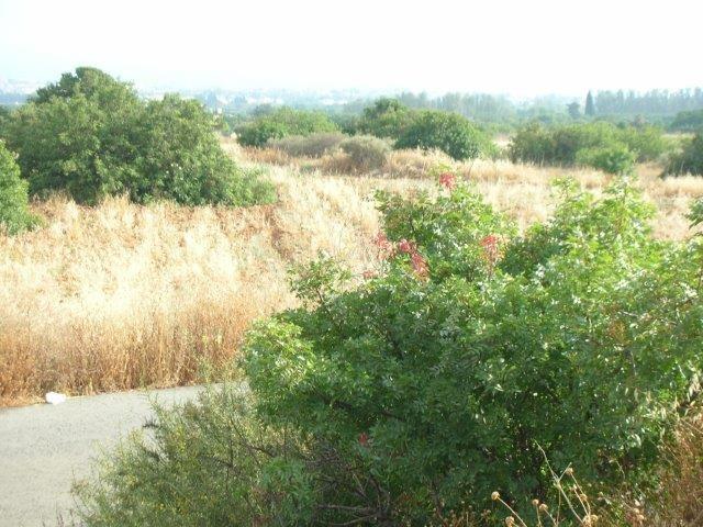 Image No.3-Terre à vendre à Tala