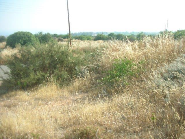 Image No.4-Terre à vendre à Tala