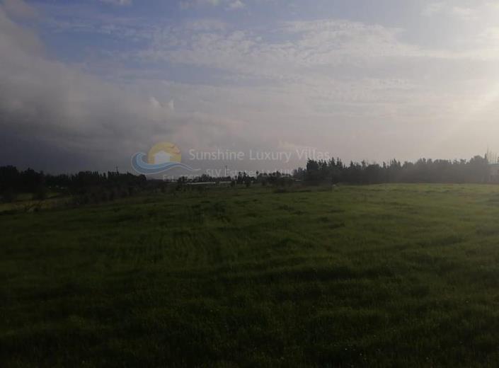 Image No.10-Maison / Villa de 3 chambres à vendre à Timi