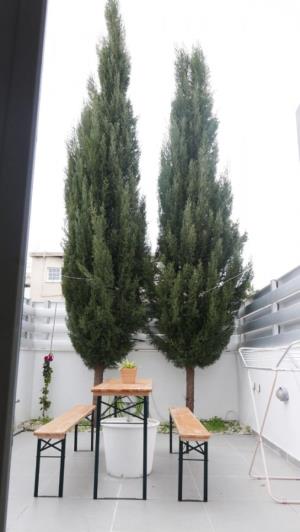 Image No.22-Maison de ville de 2 chambres à vendre à Kato Paphos