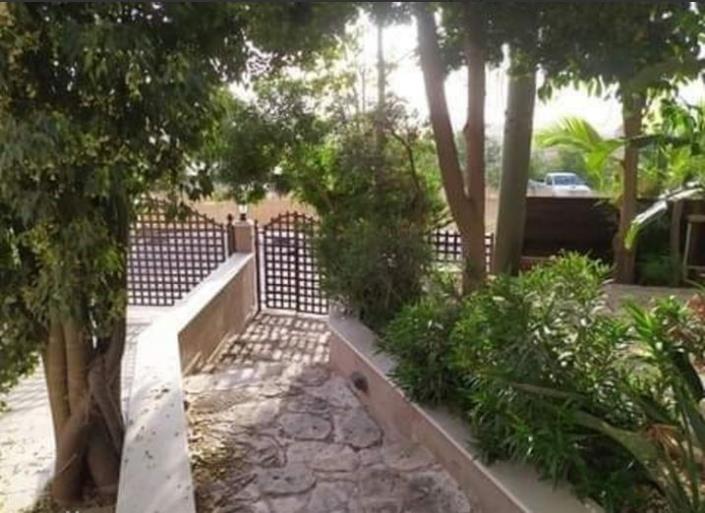 Image No.4-Villa / Détaché de 5 chambres à vendre à Parekklisia