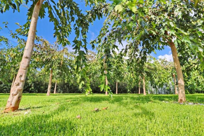 Image No.42-2 Bed Apartment for sale