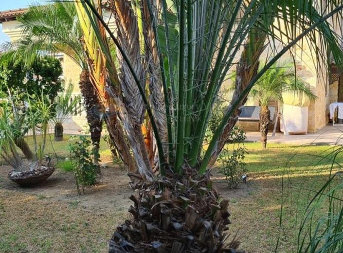 Image No.19-3 Bed House/Villa for sale