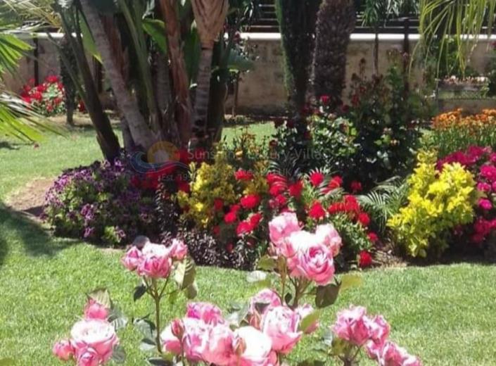 Image No.23-3 Bed House/Villa for sale