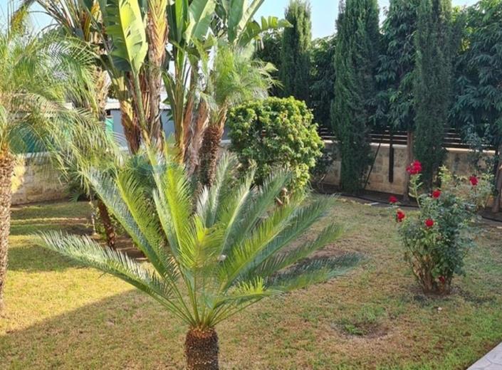 Image No.24-3 Bed House/Villa for sale