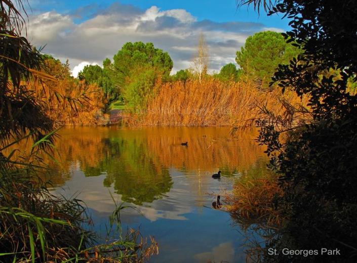 Image No.26-6 Bed Villa for sale