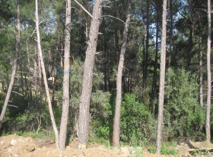 Image No.2-Plot for sale