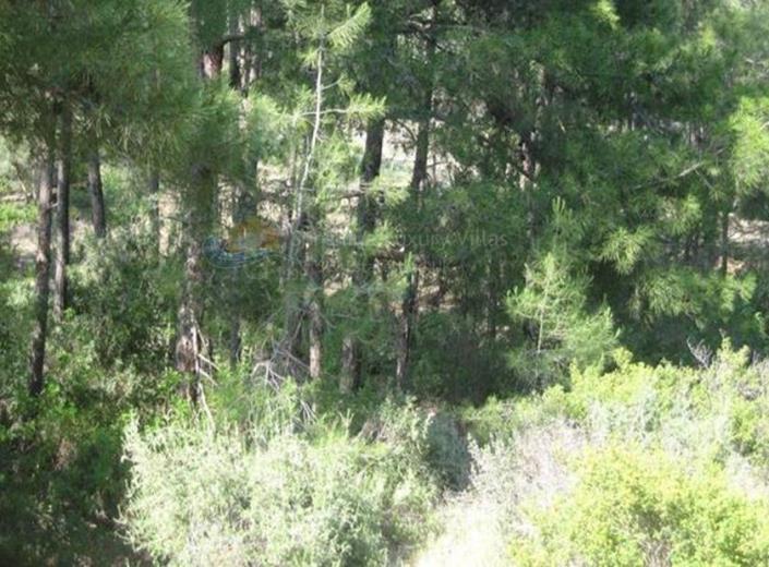 Image No.4-Plot for sale