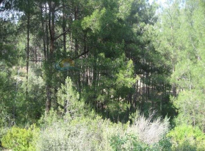 Image No.5-Plot for sale