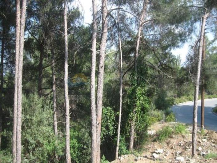 Image No.1-Plot for sale