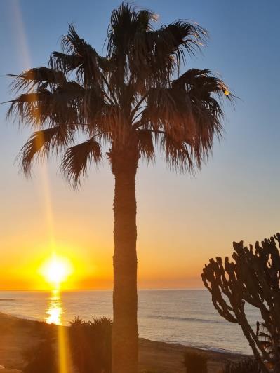 Image No.3-Villa de 4 chambres à vendre à Zygi