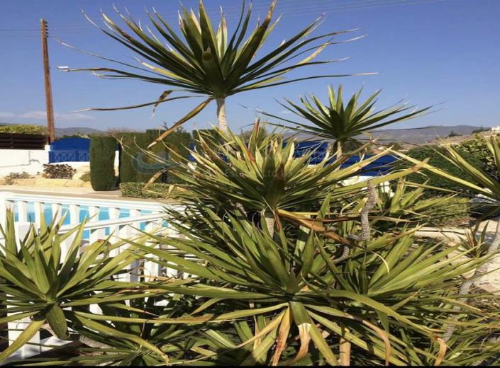 Image No.7-Bungalow de 3 chambres à vendre à Pyrgos