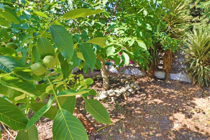 Image No.37-Villa de 3 chambres à vendre à Tsada