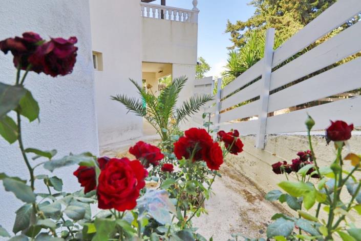 Image No.40-Villa de 3 chambres à vendre à Tsada