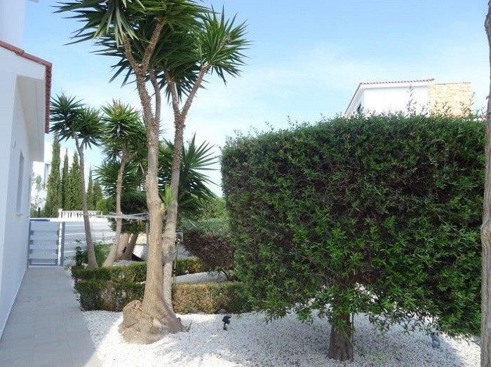 Image No.4-Villa de 4 chambres à vendre à Agios Georgios