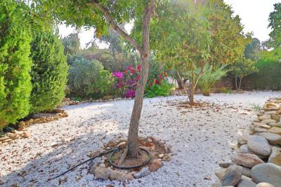 45662-detached-villa-for-sale-in-coral-bay_full