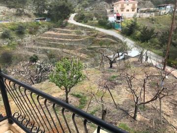 en_b_img_7301
