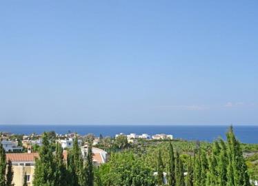 45883-detached-villa-for-sale-in-agios-georgios_full