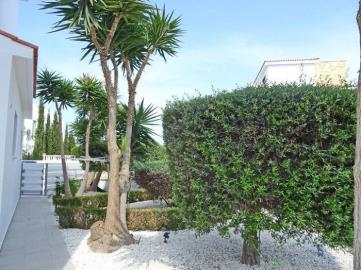 45886-detached-villa-for-sale-in-agios-georgios_full