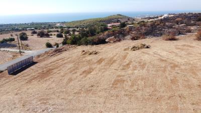 DJI_0520