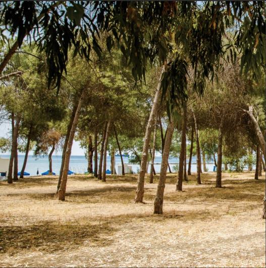 Image No.3-3 Bed Apartment for sale