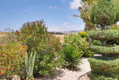 50666-detached-villa-for-sale-in-timi_full