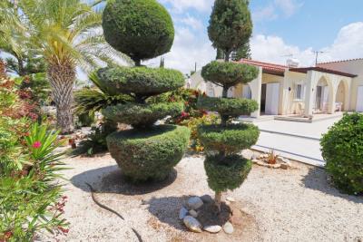 50667-detached-villa-for-sale-in-timi_full
