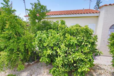 50676-detached-villa-for-sale-in-timi_full