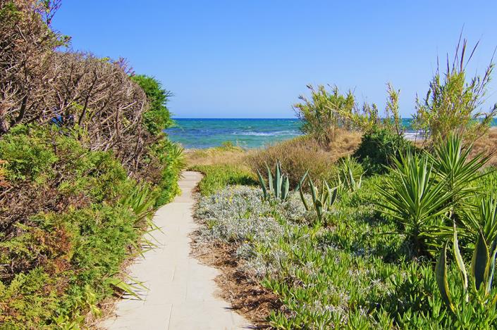 Image No.7-Maison / Villa de 3 chambres à vendre à Ayia Thekla