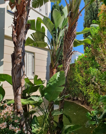 Image No.20-Maison / Villa de 5 chambres à vendre à Pylas