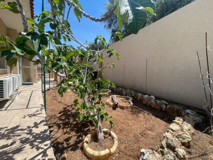 Image No.3-Maison / Villa de 6 chambres à vendre à Mouttagiaka