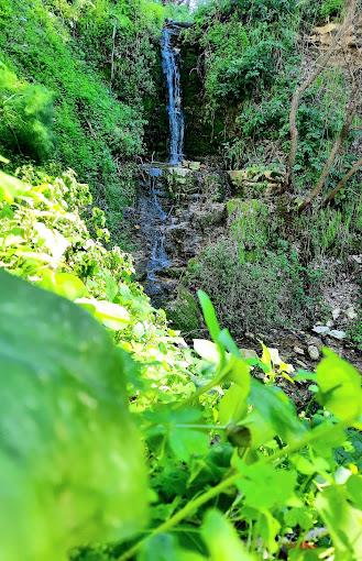 Image No.4-3 Bed Villa for sale