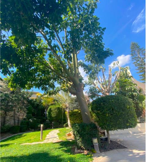 Image No.15-6 Bed Villa / Detached for sale